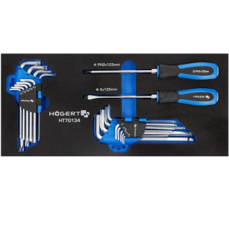 HOEGERT Набір викруток і шестиграних ключів  21 шт., EVA HOEGERT 21 